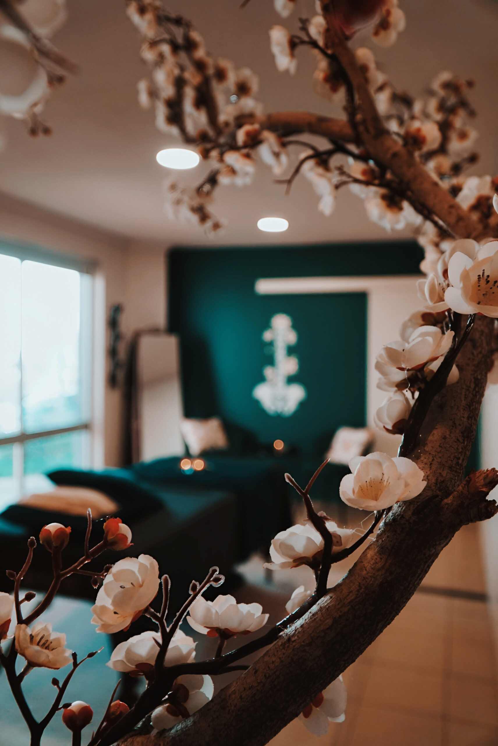 Sala de massagens floresta